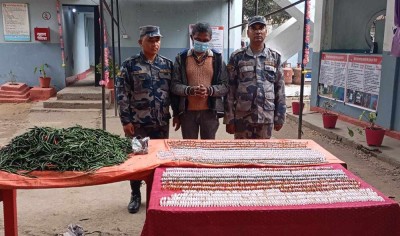 खुर्सानीको बोराभित्र लुकाएर ल्याएको लागूऔषधसहित एक जना नियन्त्रणमा