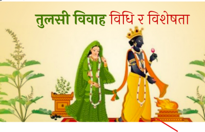 हरि बोधिनी एकादशी : तुलसी र दामोदरको विवाह आज