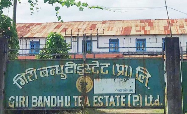 गिरीबन्धु टि स्टेट्सको जग्गा सट्टाभर्ना गर्न दिने निर्णय सर्वाेच्चद्धारा बदर हुने फैसला