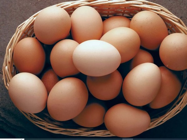 अण्डाको मूल्य बढ्यो 