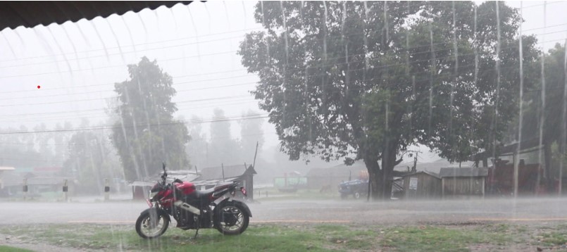 डुबानमा बर्दियाका ४३ घर